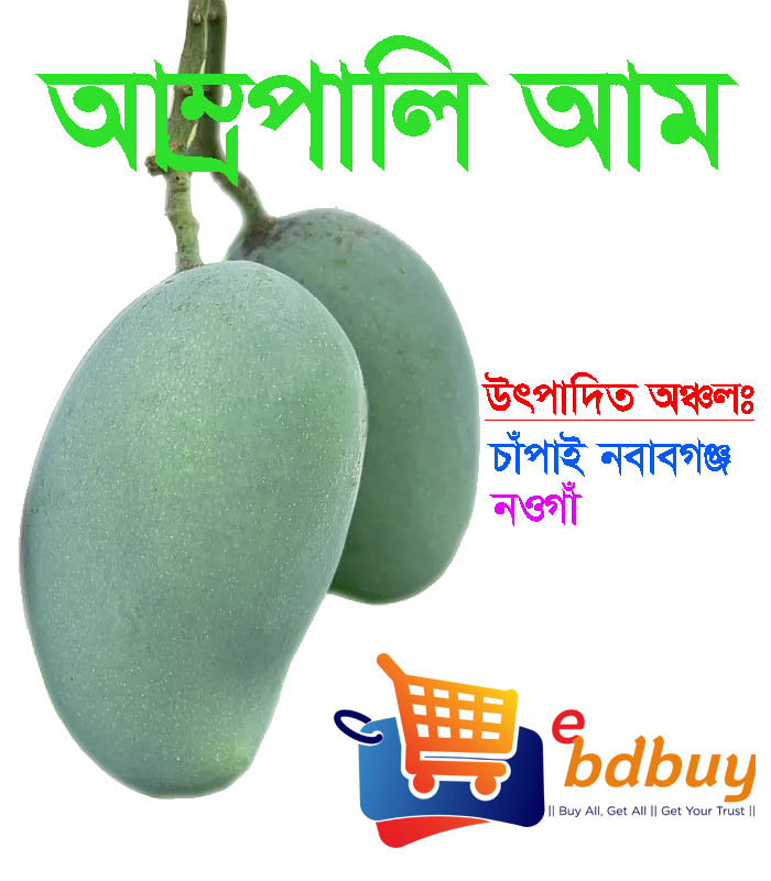 আম্রপালি আম, amrapali mango