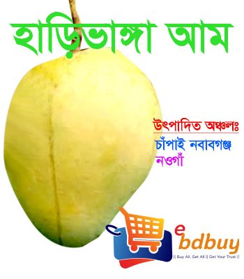 হাড়িভাঙ্গা আম, harivanga mango