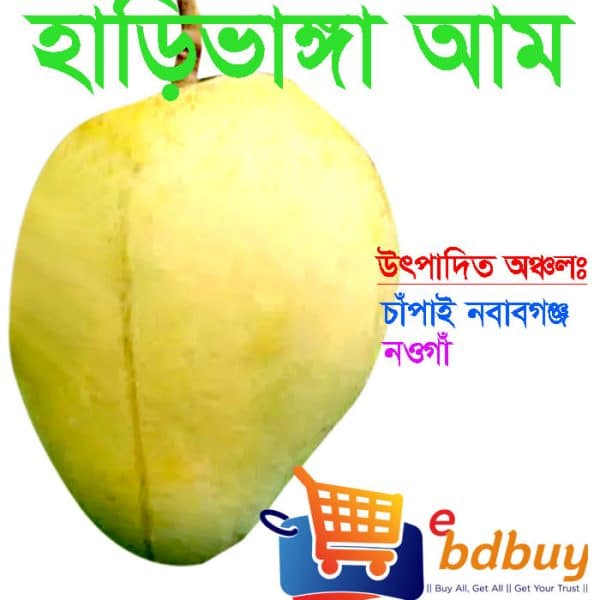 হাড়িভাঙ্গা আম, harivanga mango
