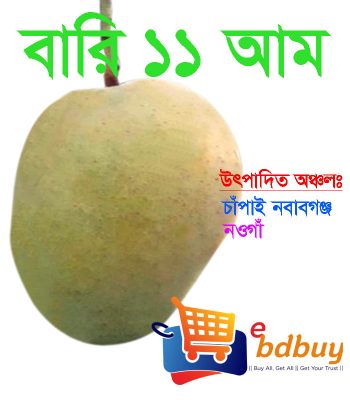 বারি ১১ আম, bari 11 mango